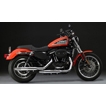 National Cycle Peacemakers スリップオンマフラー スポーツスターモデル用