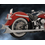 True Dual �G�L�]�[�X�g�V�X�e�� �V���[�N�e�C�� �\�t�e�C�����f���p1