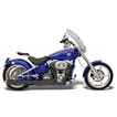 Bassani ���[�h���C�W 2in1 �\�t�e�C�� ���b�J�[���f���p