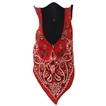 Neodannas Red Paisley