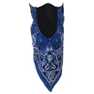 Neodannas Blue Paisley