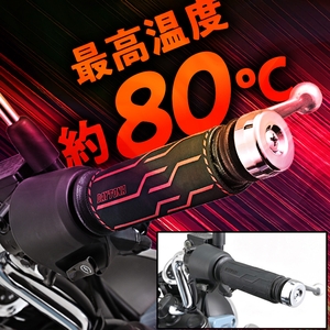 38494