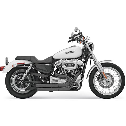 2014年式 スポーツスター XL1200X バッサーニマフラー