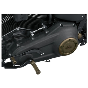 25700941