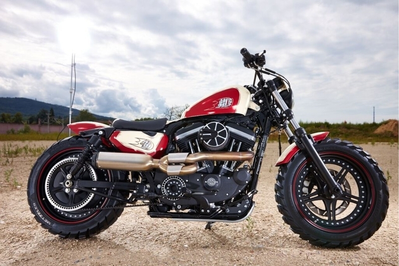 プーリーカバー - RICK'S MOTORCYCLES | アンバーピース