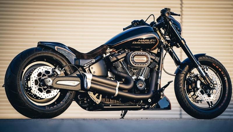 お買得限定品☆夏売れ筋 正規品/サンダーバイク その他ハーレー Fork brace Fatboy 16 Thunder Bike バイク | enmouvement.ch