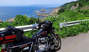 harley-touring-summer