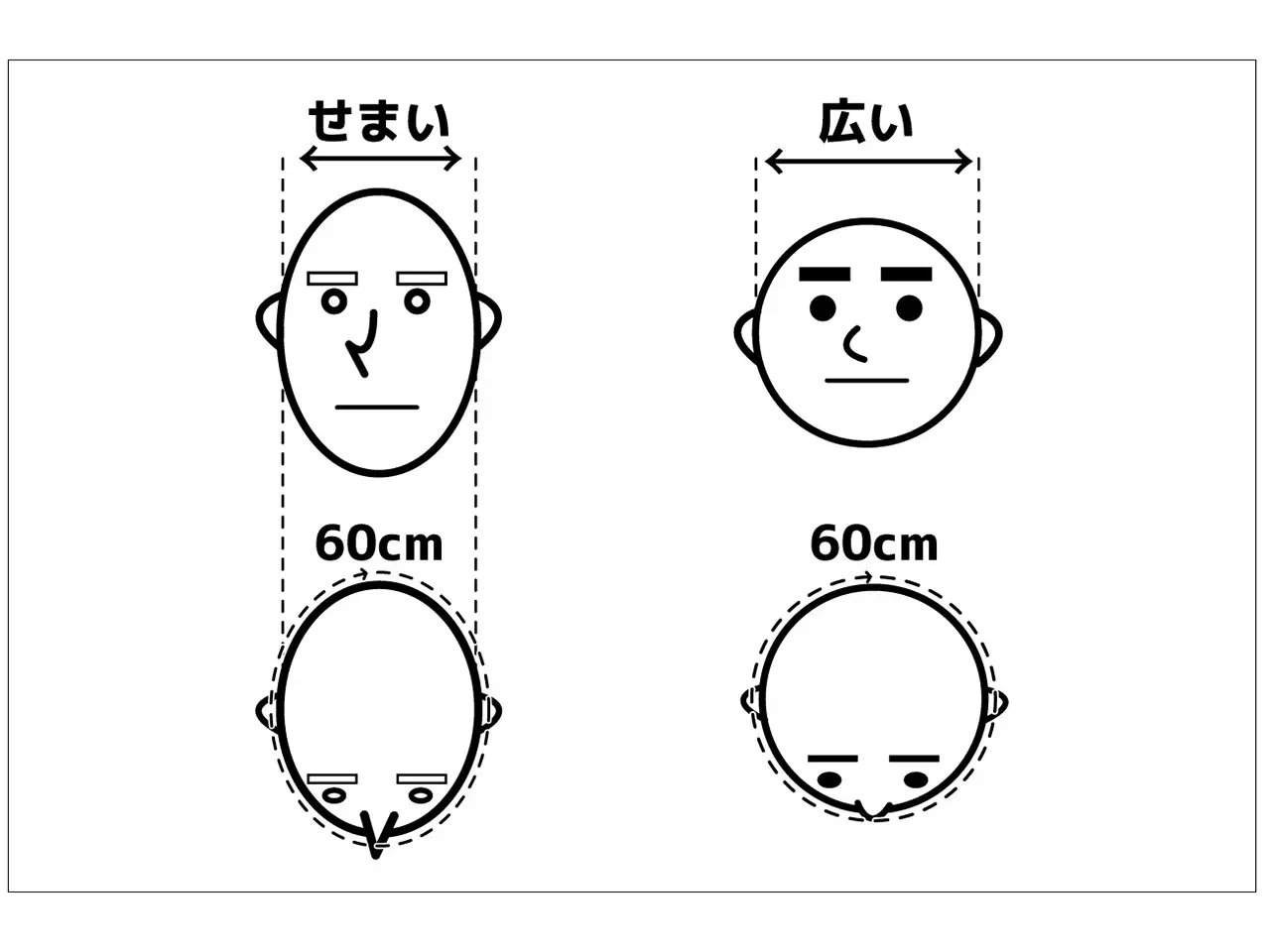日本人と欧米人の頭の形の違い