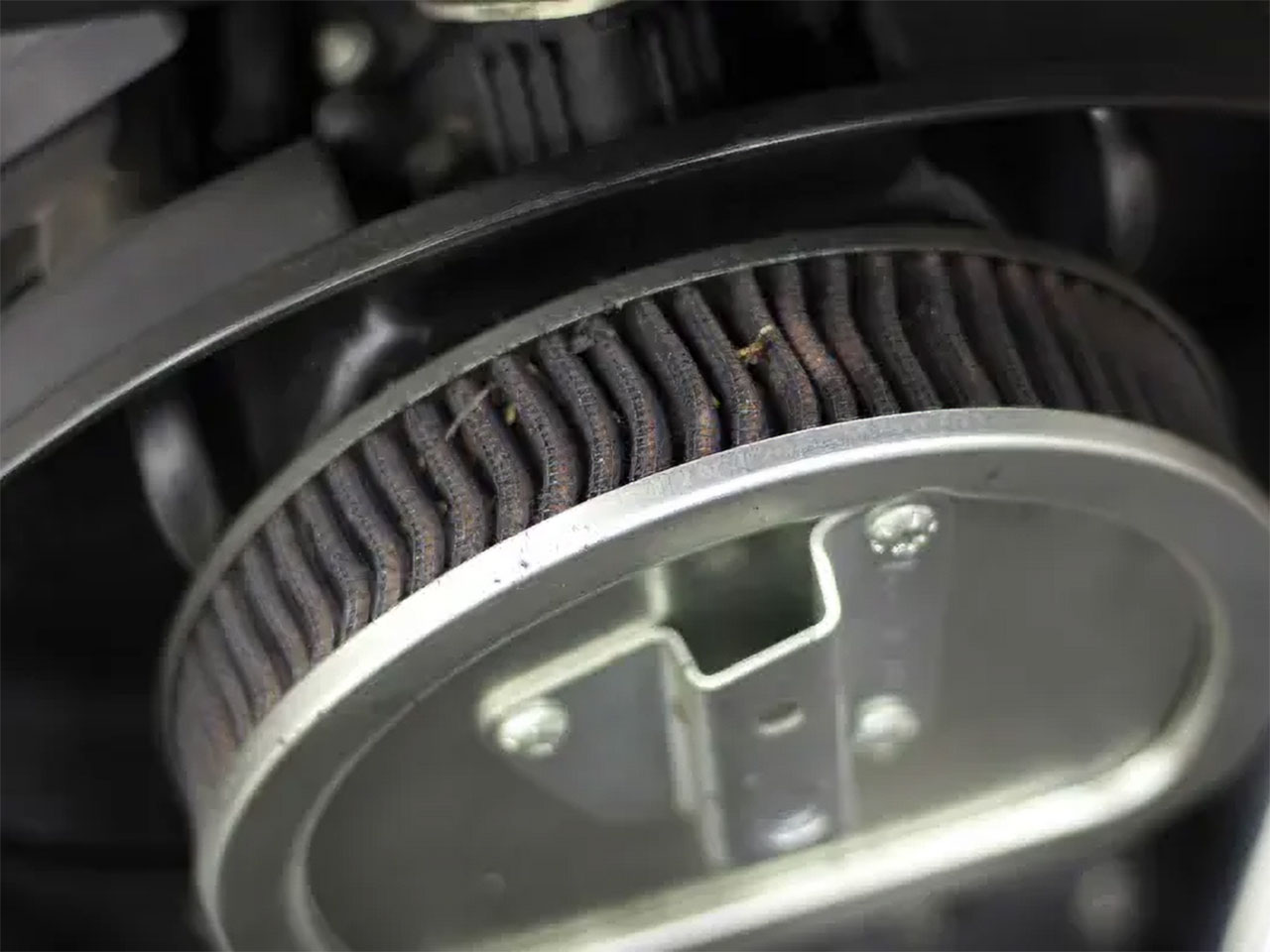 フィルタービフォー