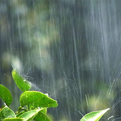 雨などの水分