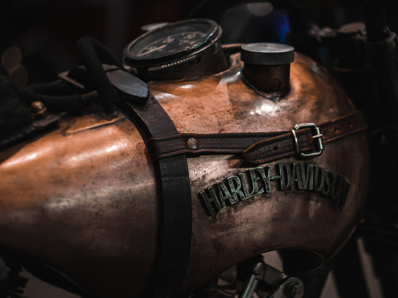 フィルタービフォー