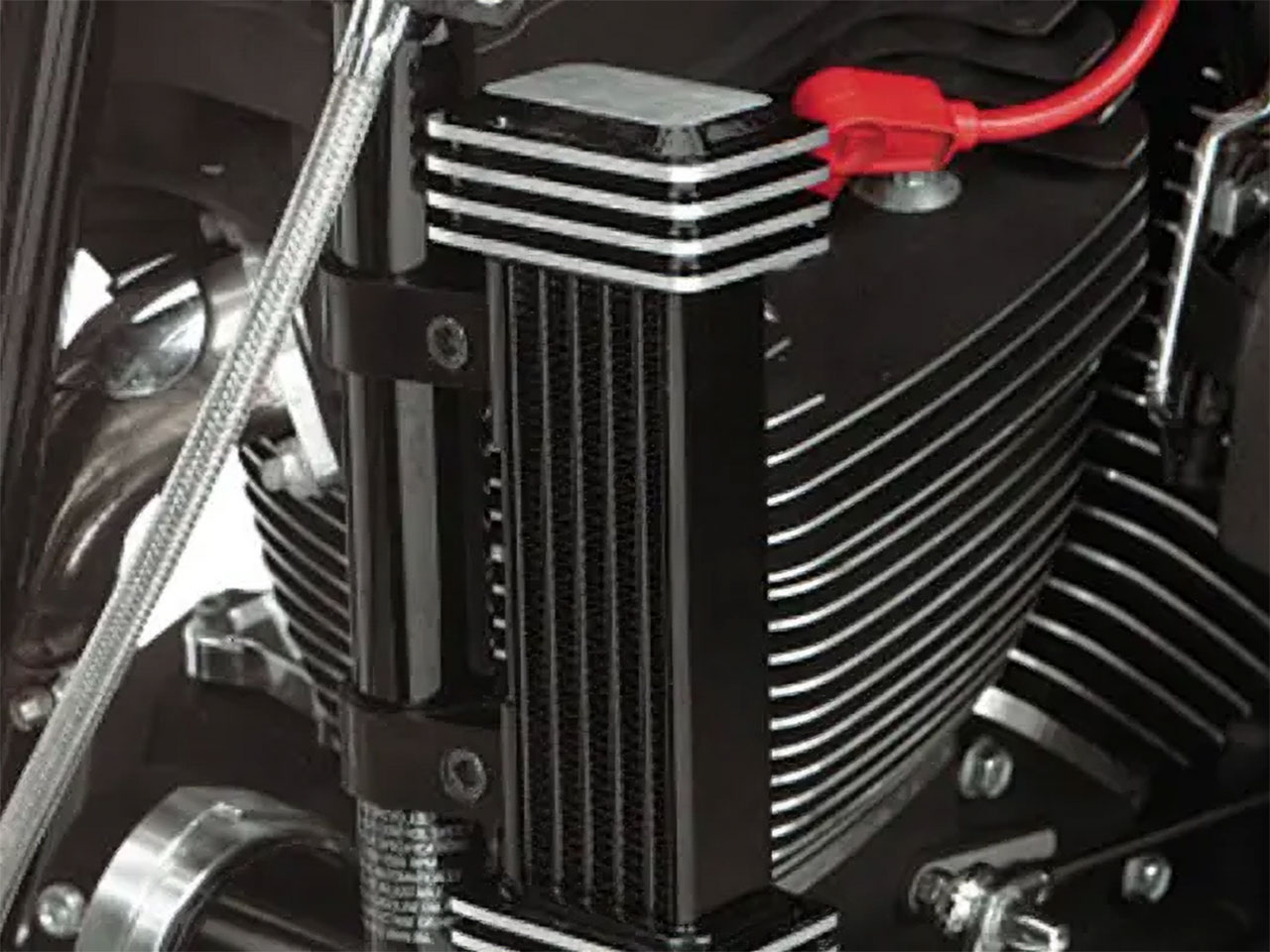 ジャグのクーラー4