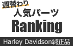 週替わり 人気パーツRanking